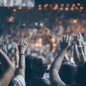 Concert crowd