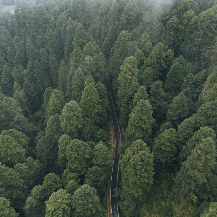 Sustainable project cargo transport